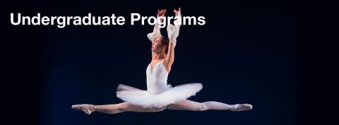 Undergraduate Programs Undergraduate Programs