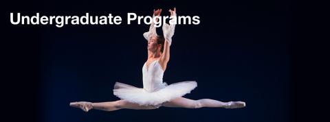 Undergraduate Programs